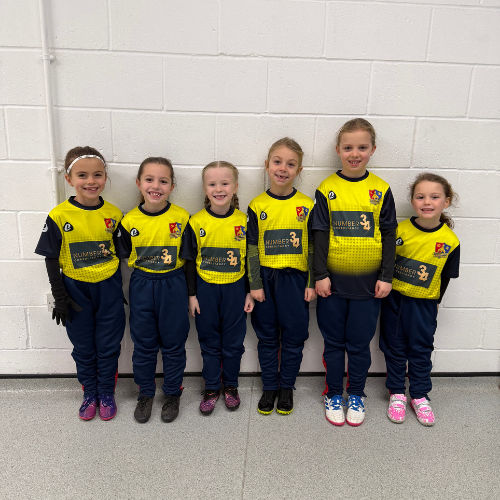 Sponsoring the Bingham Girls team